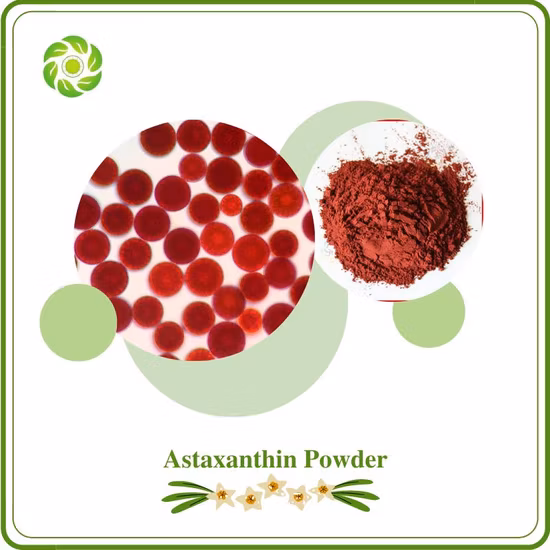 Food Additives Carotenoids and Vitamins Like Vitamin E