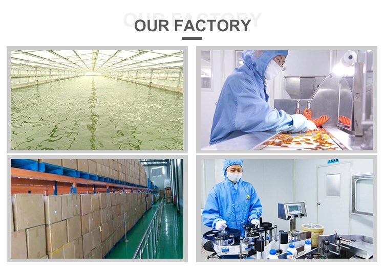 Factory Supply 100% Natural Pure Haematococcus Pluvialis Powder Astaxanthin Powder