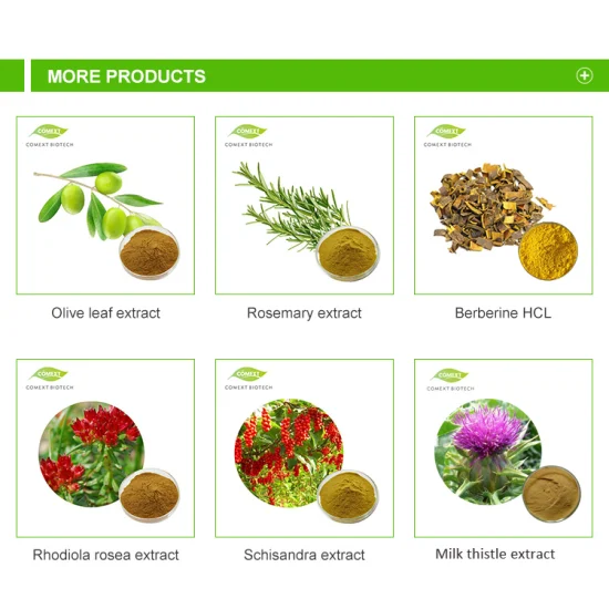 Comext Fssc 中国工場無料サンプル HPLC 50% 98% 天然植物ハーブタデエキス粉末スキンケア用レスベラトロール抗酸化物質